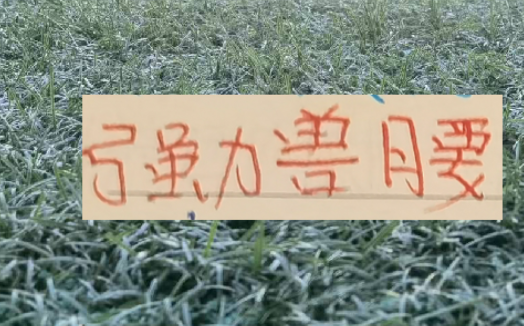 8868体育平台-中超前4的后腰 反而申花是国产的兽腰 其他球队都是洋货